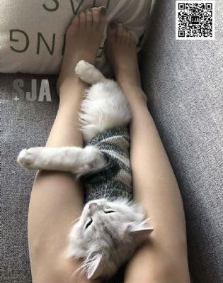 污视频导航