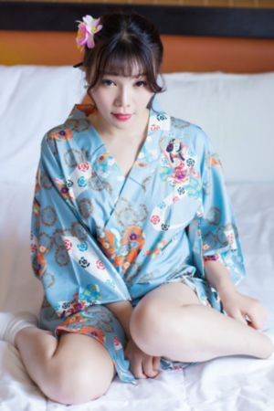 花蝴蝶4免费版大全多少集