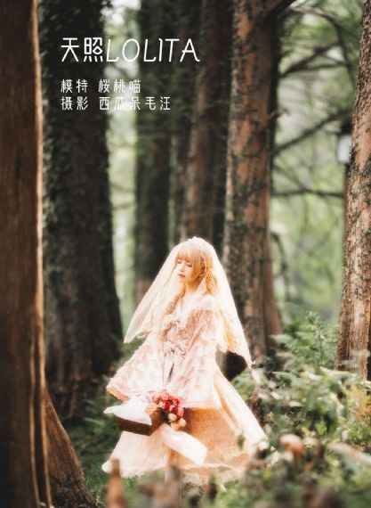 梅格雷的陷阱